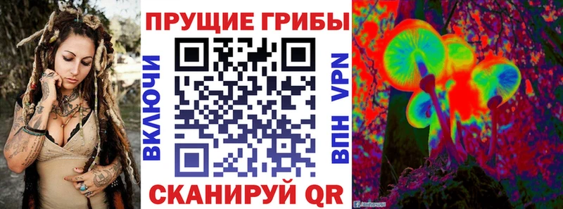 Галлюциногенные грибы MAGIC MUSHROOMS  магазин продажи   Кимры 
